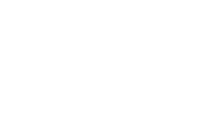 Yeni Parti